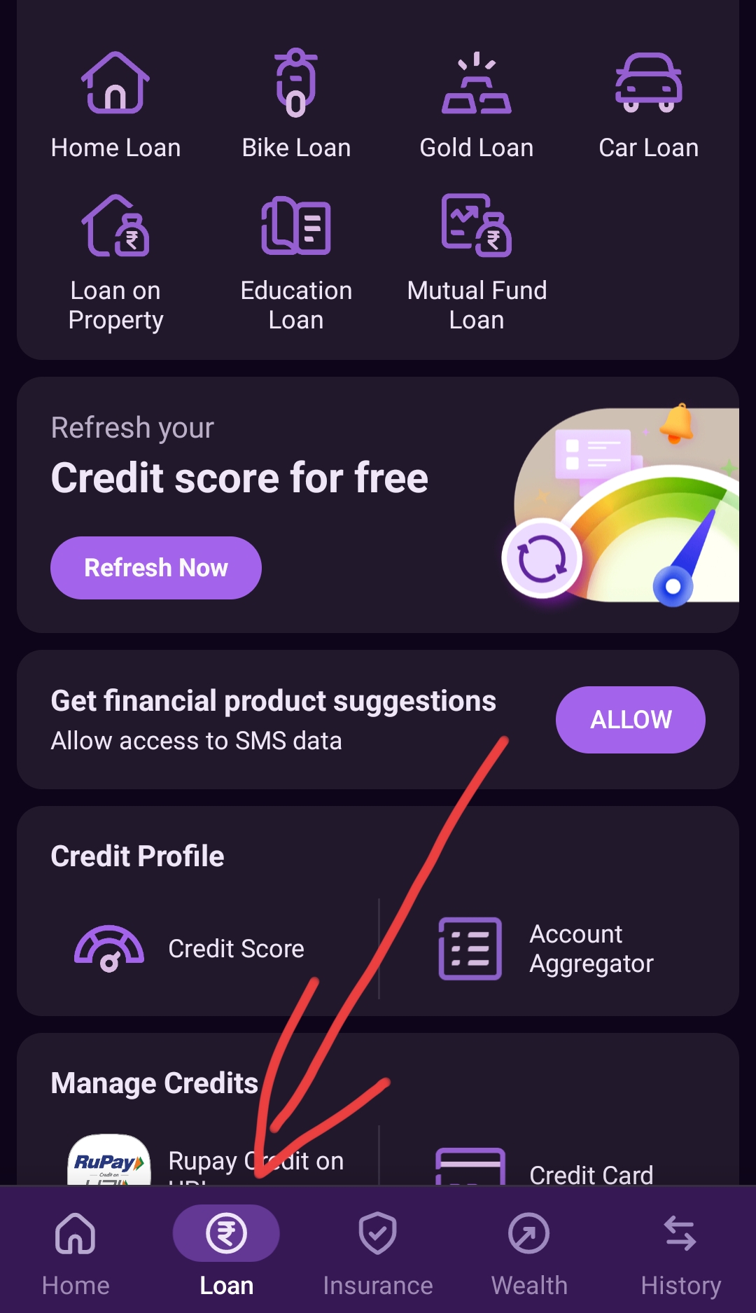 phonepe Loan